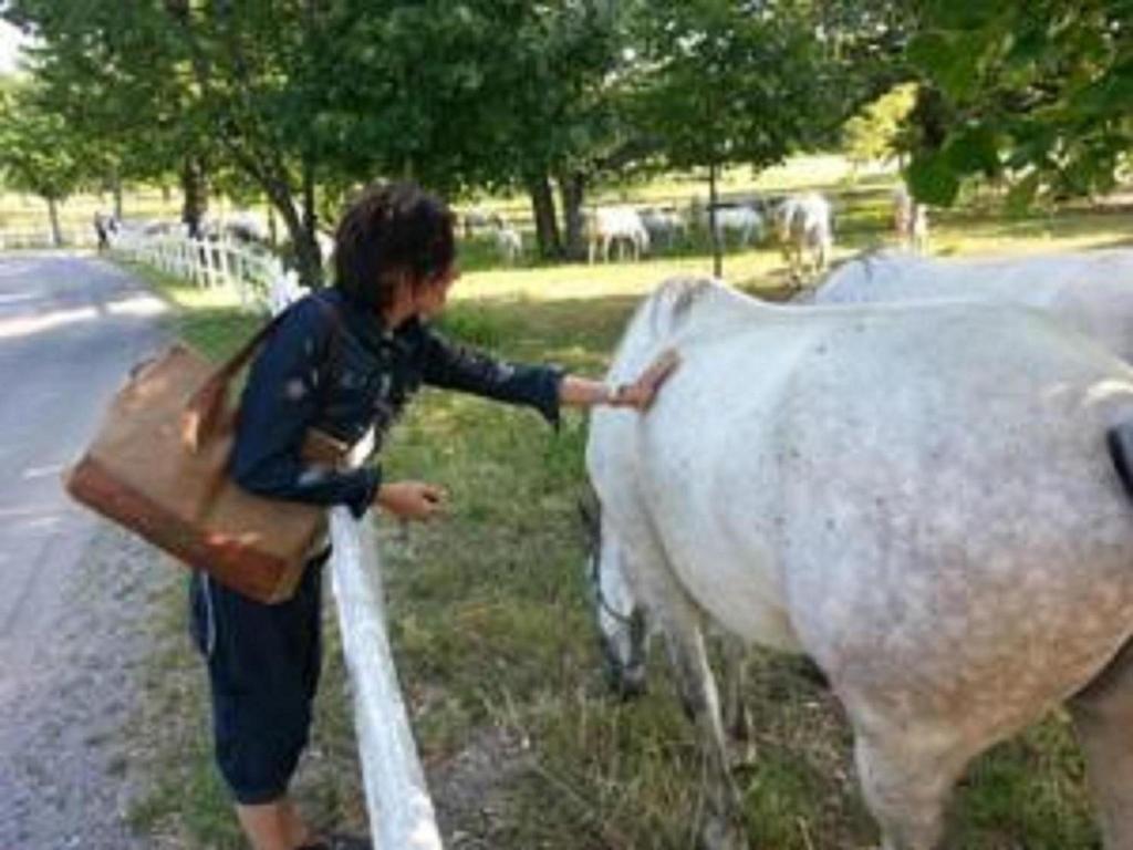 的里雅斯特玛丽之家旅馆住宿加早餐旅馆 外观 照片